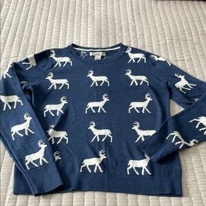 Bass Navy Sweater with Ivory Accents